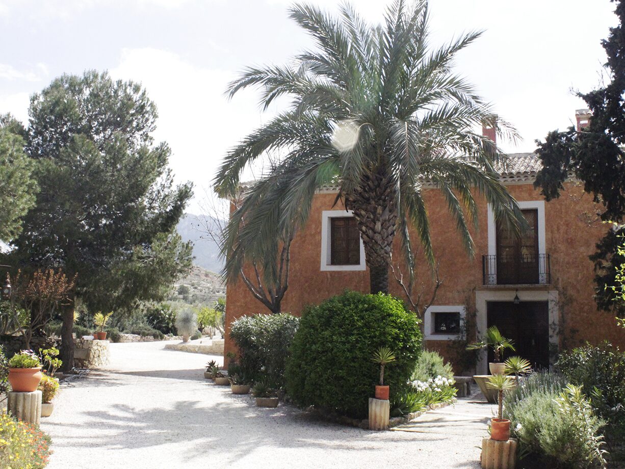 la casa del pino entre palmeras